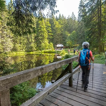 Nr 28, Typ A, Jaegerpark, Bayerischer Wald Дом отдыха
