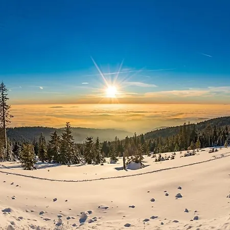 Nr 28, Typ A, Jaegerpark, Bayerischer Wald Дом отдыха