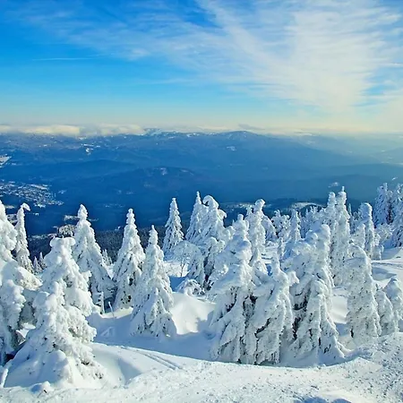 Nr 28, Typ A, Jaegerpark, Bayerischer Wald Фихтах