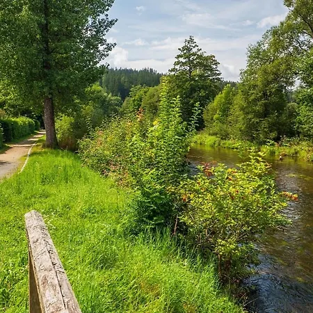 Prázdninový dům Nr 28, Typ A, Jaegerpark, Bayerischer Wald *