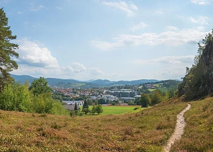 Nr 28, Typ A, Jaegerpark, Bayerischer Wald Feriehus