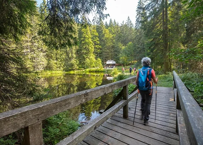 Nr 28, Typ A, Jaegerpark, Bayerischer Wald Feriehus