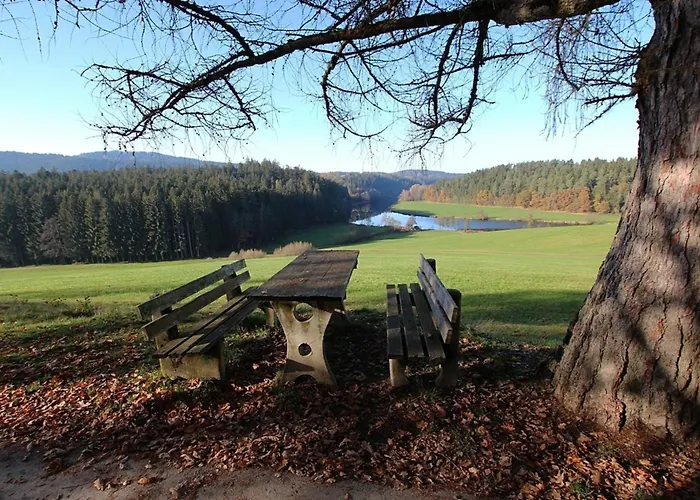 Nr 28, Typ A, Jaegerpark, Bayerischer Wald Feriehus