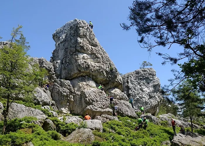 Nr 28, Typ A, Jaegerpark, Bayerischer Wald Viechtach