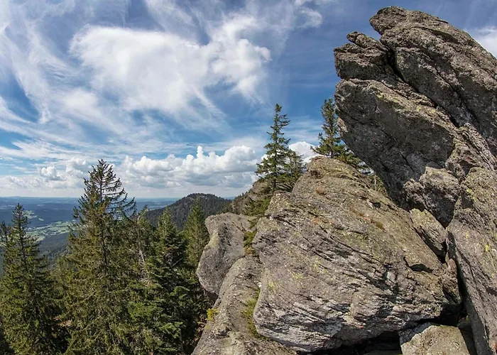 Nr 28, Typ A, Jaegerpark, Bayerischer Wald * Viechtach