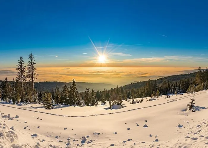 Nr 28, Typ A, Jaegerpark, Bayerischer Wald Feriehus
