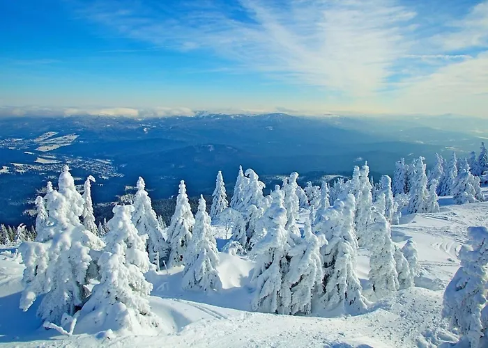 Nr 28, Typ A, Jaegerpark, Bayerischer Wald Viechtach